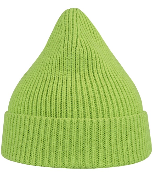 Atlantis Andy Recycled Polyester Acrylic Beanie