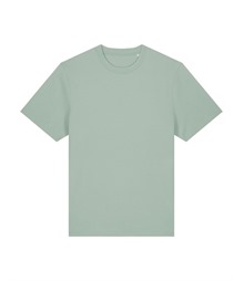 Unisex Sparker 2.0 heavy t-shirt (STTU171)