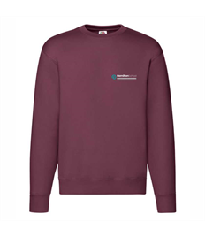 Hamilton School Sweatshirt Youth